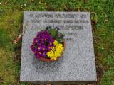 image of grave number 629008